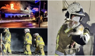 Nie zdążyły uciec przed ogniem, strażacy wynieśli je z płomieni. Druhowie z OSP Ujazd uratowali kota, psa i żółwia [Foto]