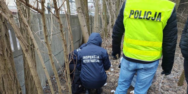 Znęcał się nad swoją partnerką, zabił jej psa i wyrzucił przez okno.  35-letni oprawca jest już za kratkami [Wideo, foto]