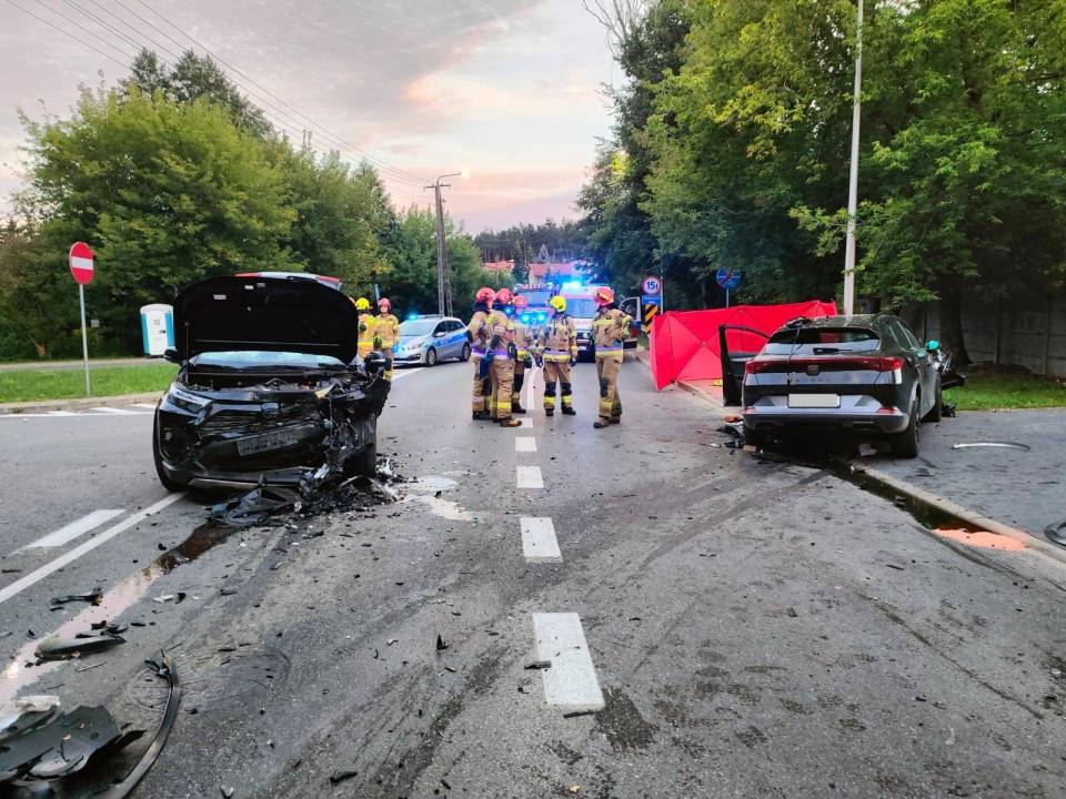 Dwie osoby zginęły, inne są ranne. Sprawca był pijany i uciekł z miejsca zdarzenia. Został już zatrzymany i usłyszał zarzuty